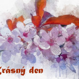 cherry-blossom-5862511_960_720