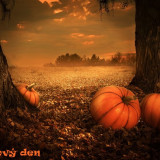 pumpkins-5675502_960_720