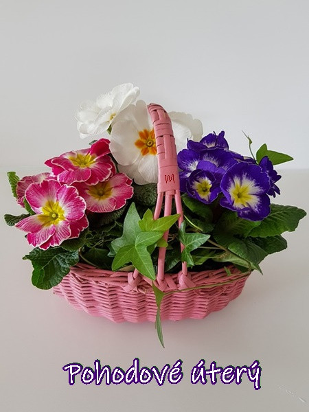 flower-basket-3218034_960_720.jpg