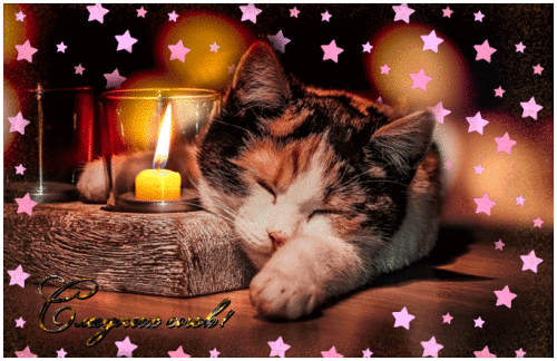 kočka u svíce