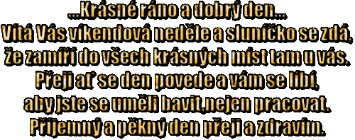 text (2)