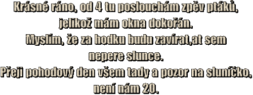 text (2)