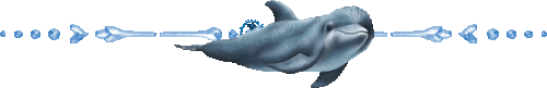 barre animaux barre dauphin big