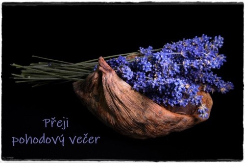 lavender-2541383-960-720.jpg