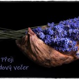 lavender-2541383-960-720