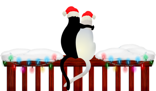 christmas-cats-3748891_960_720.png