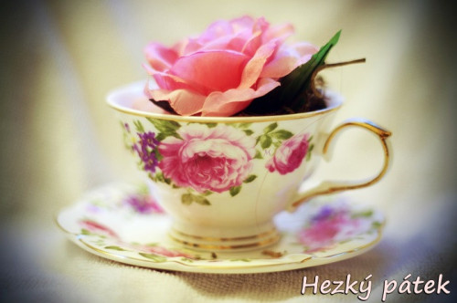 rose-cup-5298039_960_720.jpg