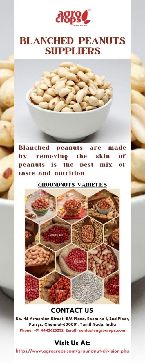 Quality-Blanched-Peanuts-Suppliers.jpg
