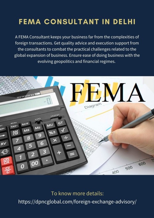 A FEMA Consultant keeps your business far from the complexities of foreign transactions. Get quality advice and execution support from the consultants to combat the practical challenges related to the global expansion of business. Ensure ease of doing business with the evolving geopolitics and financial regimes. To know more details: https://dpncglobal.com/foreign-exchange-advisory/