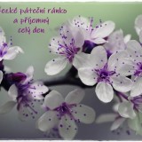 purple-flowers-839594_960_720