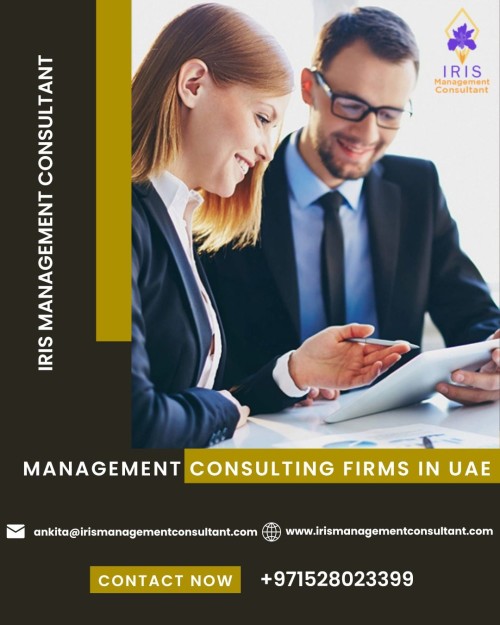 If you are looking for a Management Consultant in UAE? Visit Iris Management Consultant, one of the leading management consulting firms in UAE that provides business management services at reasonable costs. Get in touch with us! To know more details, Visit us at: https://www.irismanagementconsultant.com/management