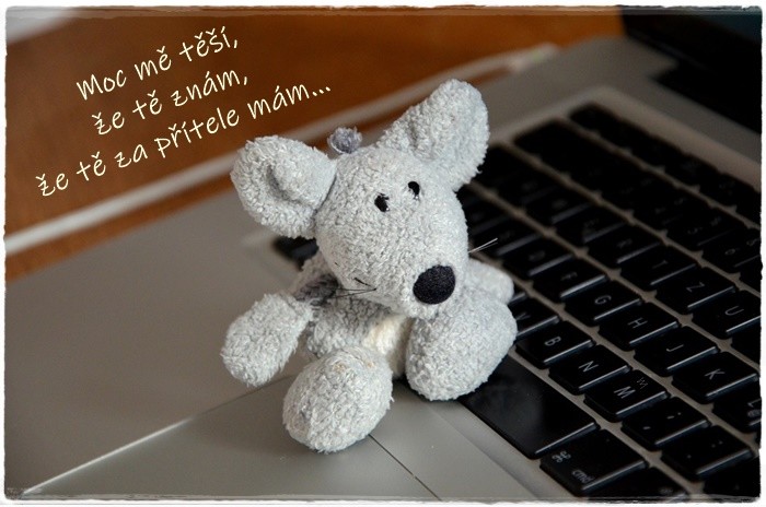 mouse-500995_960_720.jpg