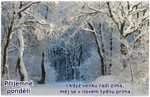 winter-343512_960_720.jpg