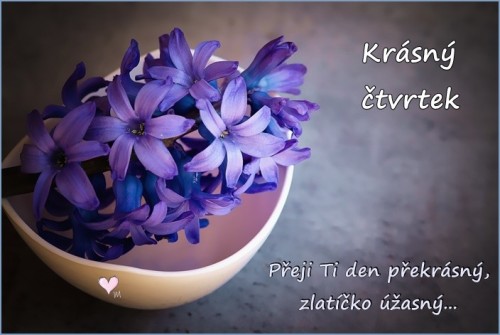 hyacinths-1403653_960_720.jpg