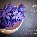 hyacinths-1403653_960_720