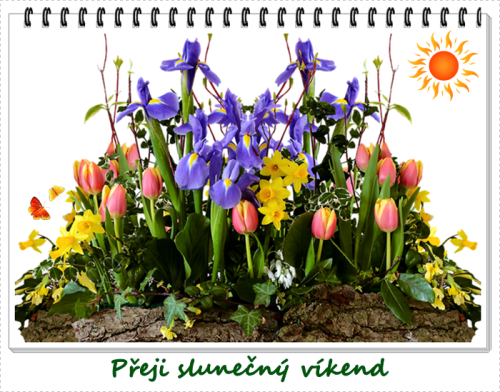spring-2393428_960_720.png