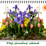 spring-2393428_960_720