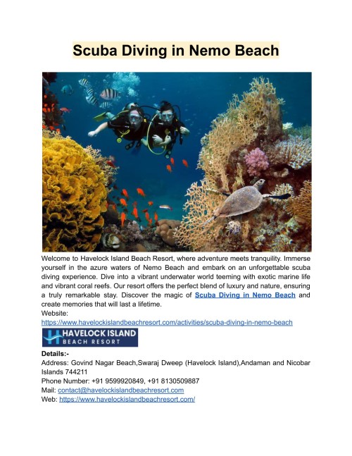 Scuba-Diving-in-Nemo-Beach.jpg