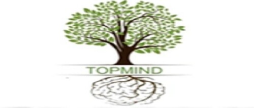 Top Mind Logo
