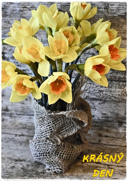daffodils-4834930_1280.jpg