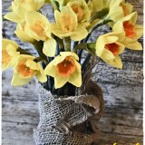 daffodils-4834930_1280