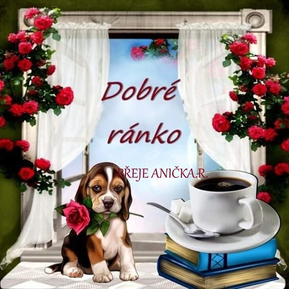 DOBRE-RANKO-2.jpg