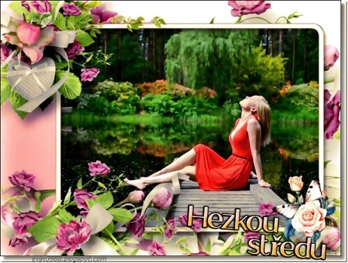 HEZKOU STŘEDU  flower-2207