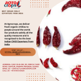 Indian-Chilli-Exporters-from-India