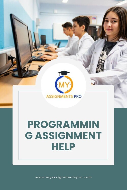 Programming assignment help