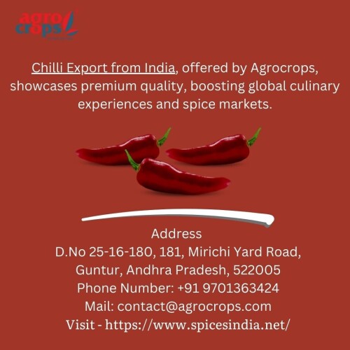 Chilli Export from India