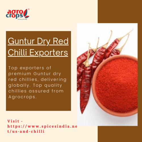 Guntur-Dry-Red-Chilli-Exporters.png